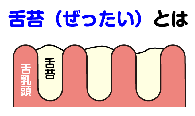 魔法のワハハ舌ブラシ